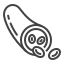 Obstetrics